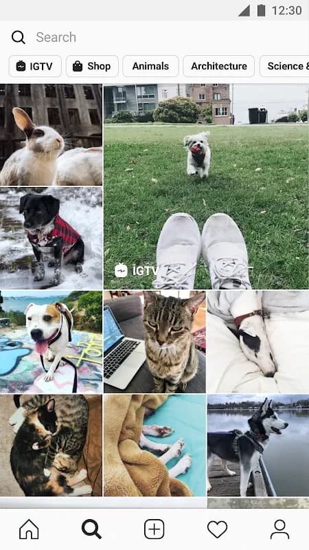 Instagram screenshot 3