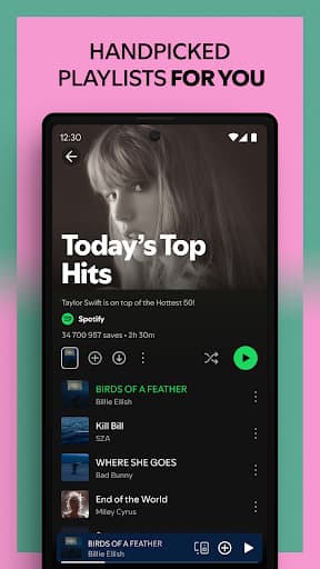 Spotify screenshot 4