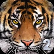Ultimate Tiger Simulator 2 icon