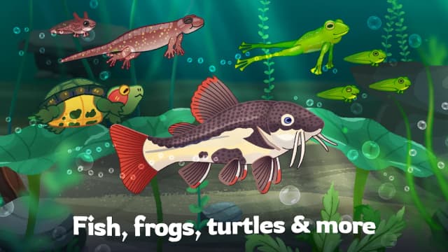 Pondlife – Relaxing Fish Game APK screenshot 2