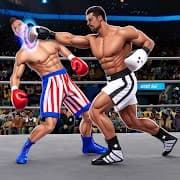 Shoot Boxing World Tournament 2019: Punch Boxing icon
