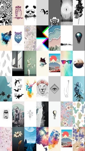 Walli – Stunning 4K Wallpapers APK screenshot 5