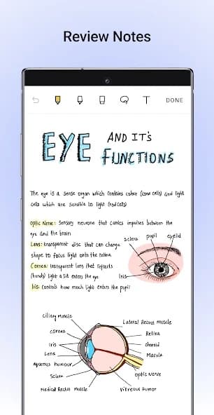 Noteshelf: Take Notes | Handwriting | Annotate PDF APK screenshot 1
