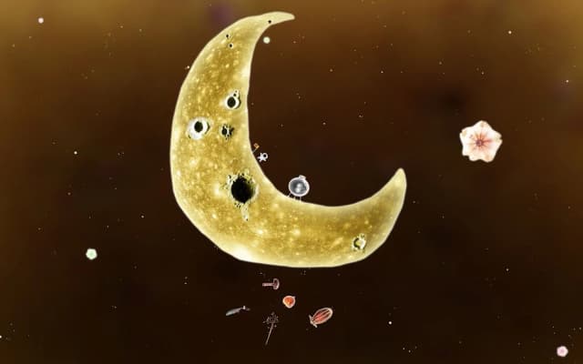 Botanicula APK screenshot 2