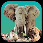 Ark Nova APK icon