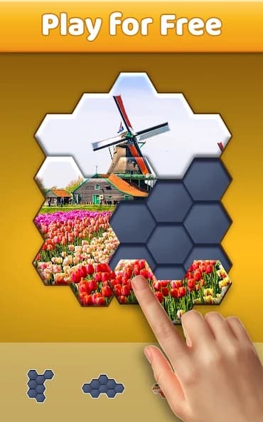 Hexa Jigsaw Puzzle ™ screenshot 3