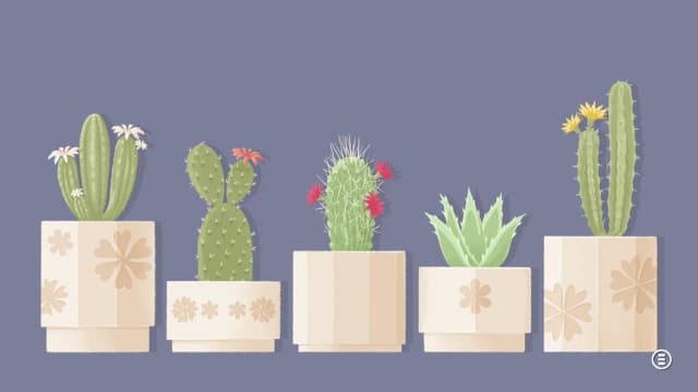 ALTTL: Seeing Stars APK screenshot 4