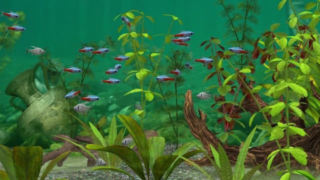 Fish Farm 3 - 3D Aquarium Simulator screenshot 5