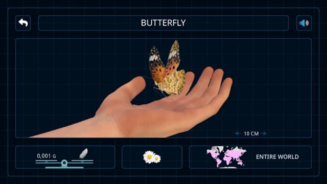 Bugs & Insects (Full version) APK screenshot 5
