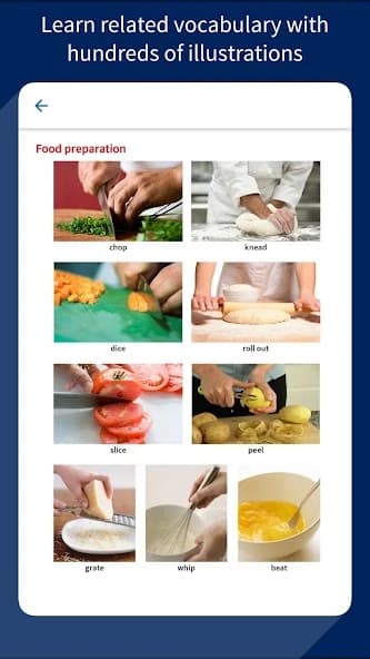 Oxford Advanced Learner’s Dictionary 10th edition APK screenshot 4