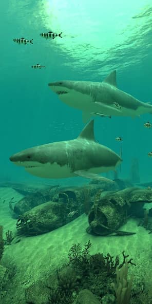 Sharks 3D - Live Wallpaper screenshot 3