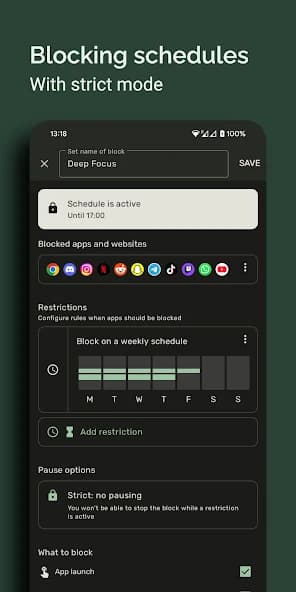 Block Apps - Productivity & Digital Wellbeing screenshot 4