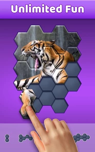 Hexa Jigsaw Puzzle ™ screenshot 1