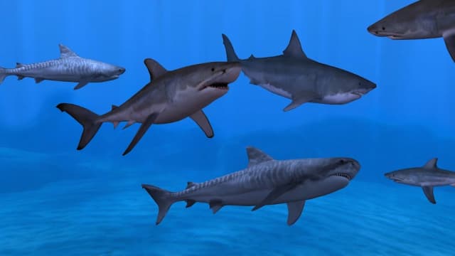 Fish Farm 3 - 3D Aquarium Simulator screenshot 3