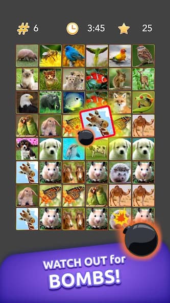 Onnect - Pair Matching Puzzle screenshot 5