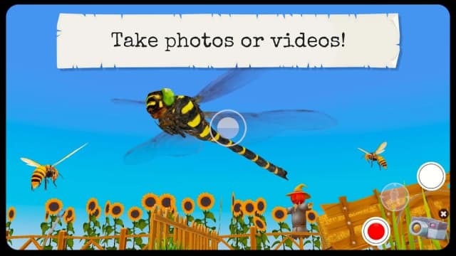 Bugs & Insects (Full version) APK screenshot 2