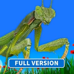 Bugs & Insects (Full version) APK icon