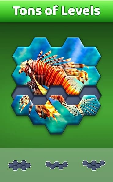 Hexa Jigsaw Puzzle ™ screenshot 2