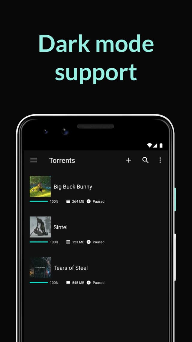 BitTorrent screenshot 4