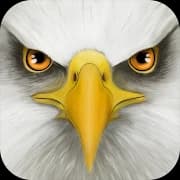 Ultimate Bird Simulator icon