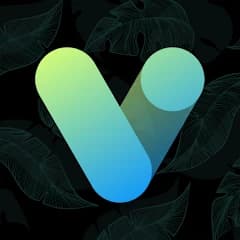 Vera Icon Pack APK icon