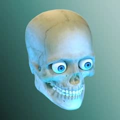 Idle Human icon