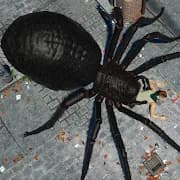 Spider Hunter Amazing City 3D APK icon