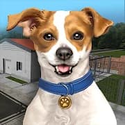 Animal Shelter Simulator APK icon