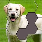 Hexa Jigsaw Puzzle â„¢ icon