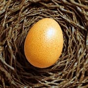 Egg Journey APK icon