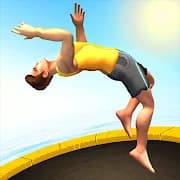 Flip Master icon