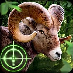 Wild Hunter 3D APK icon