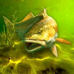 My Fishing World - Realistic fishing icon