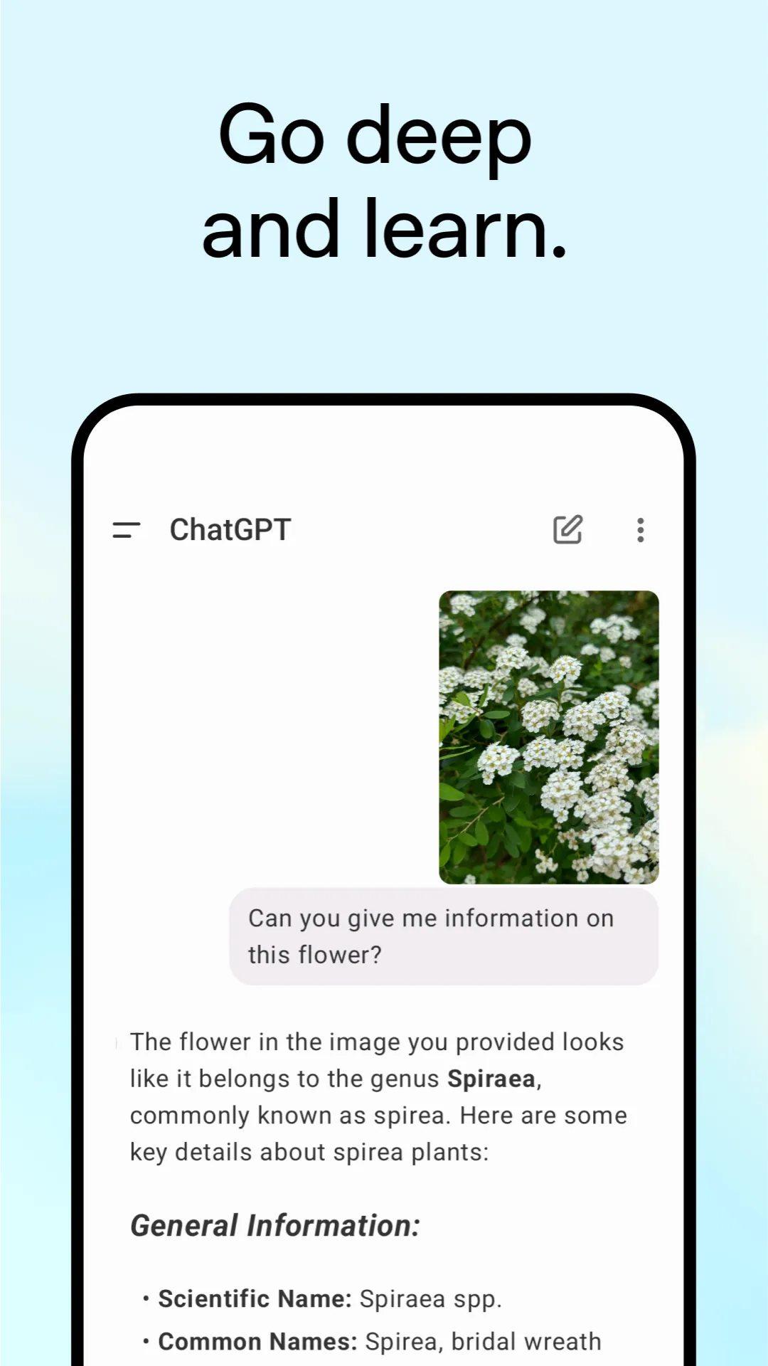 ChatGPT screenshot 4