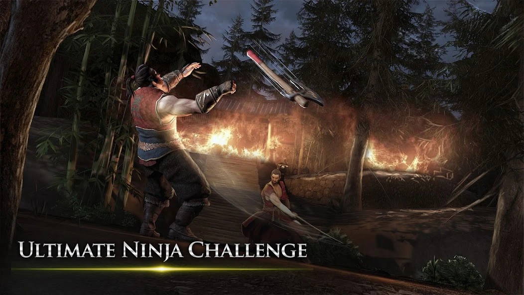Takashi - Ninja Warrior screenshot 3