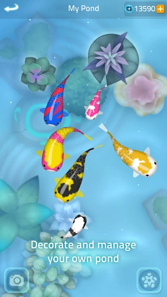 Zen Koi 2 screenshot 5