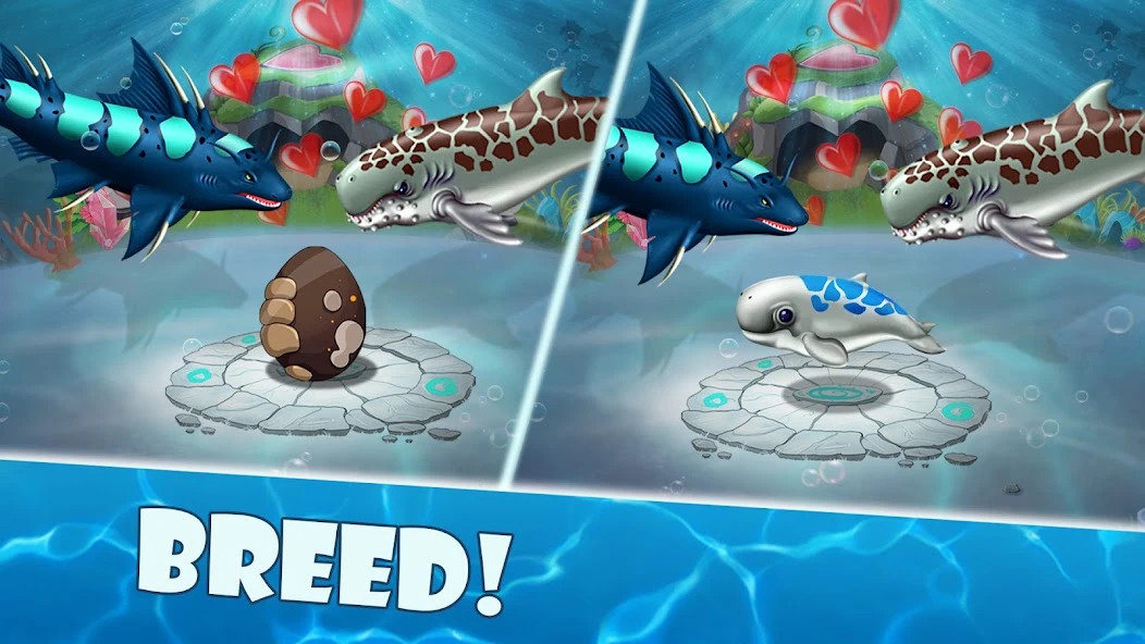 Shark World screenshot 4