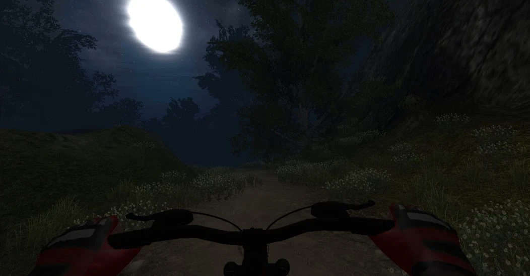 MTB DownHill: Multiplayer screenshot 4