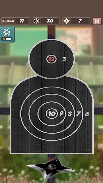 Ninja Star Shuriken screenshot 4