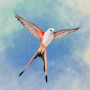 Wingspan APK icon