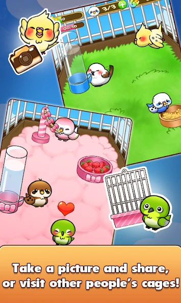Bird Life screenshot 5