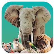 Ark Nova APK icon