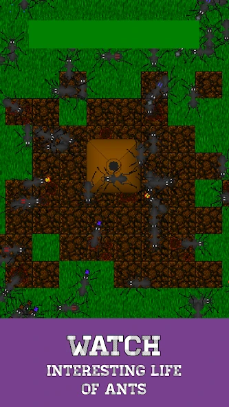 Ant Evolution - ant terrarium and life simulator screenshot 1