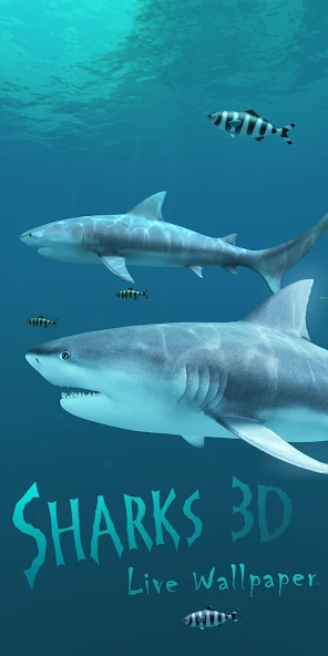 Sharks 3D - Live Wallpaper screenshot 1