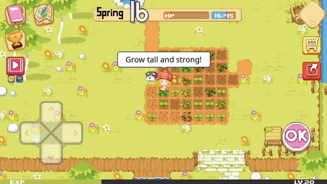 The Farm : Sassy Princess screenshot 2