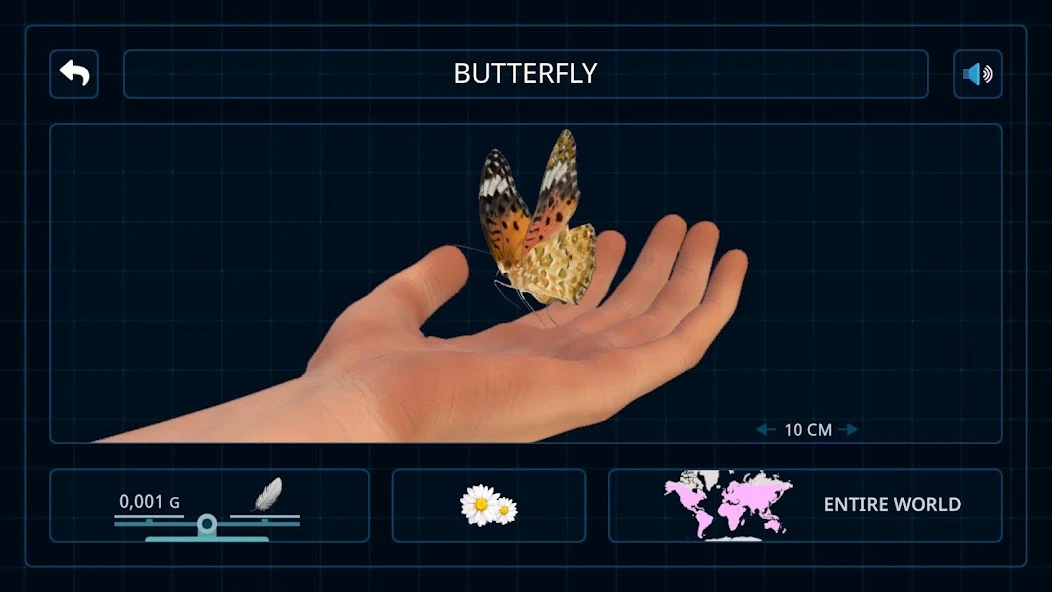 Bugs & Insects (Full version) APK screenshot 5