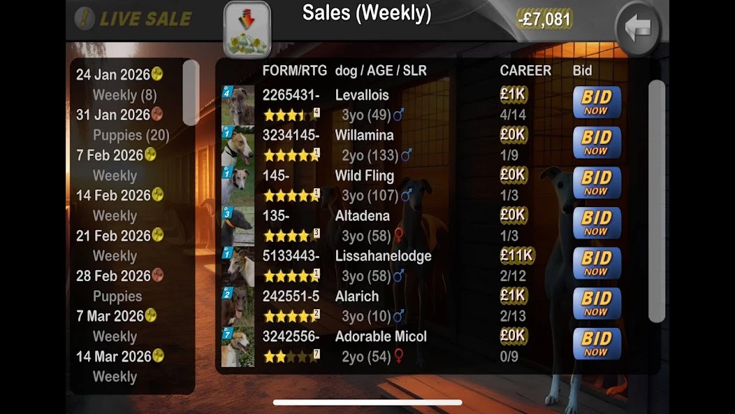 Greyhound Manager Touch APK screenshot 3