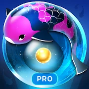 Zen Koi Pro APK icon