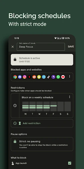 Block Apps - Productivity & Digital Wellbeing screenshot 4