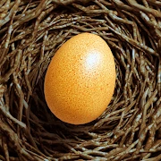 Egg Journey APK icon